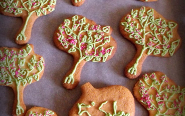 L'arbre de Soissons à croquer