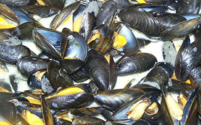 Moules marinières gourmandes