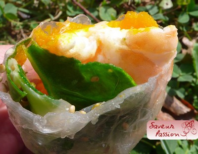 Rouleau d'Automne aux potimarron et crevettes roses