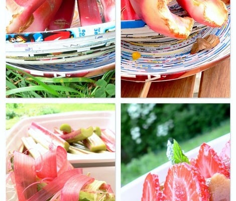 Tarte fine rose rhubarbe