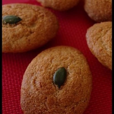 Madeleines du Périgord