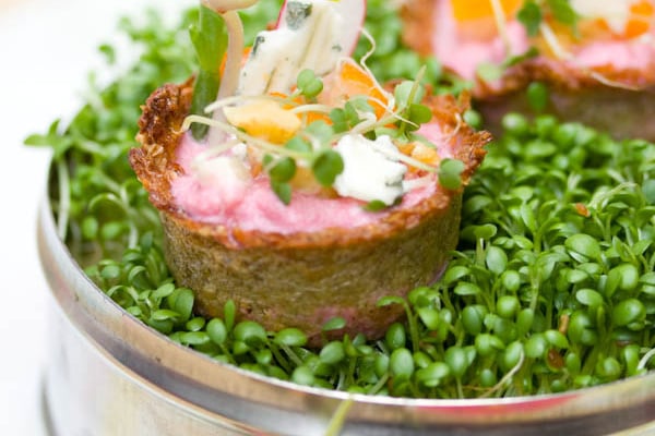 Petits nids terre-mer au Roquefort