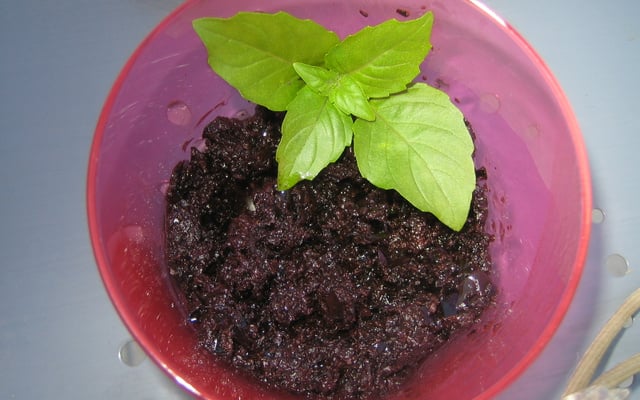 Tapenade express aux olives noires