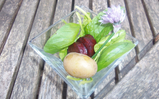 Pousses d'épinards et chorizo à la menthe