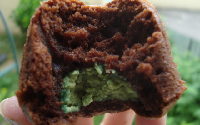 Charlottine chocolat et cœur de pistache/chocolat blanc