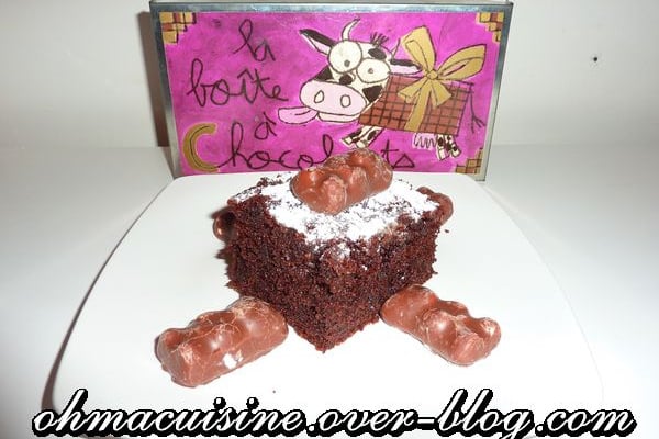 Moelleux aux oursons