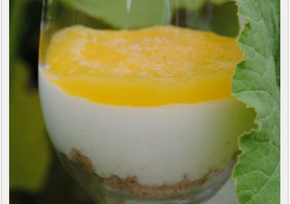 Cheesecake à la mangue