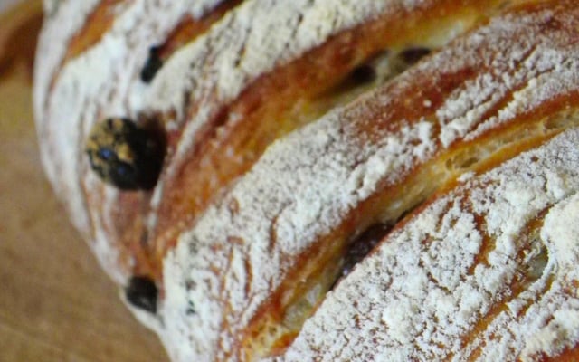 Pain de campagne pétri à la main aux noisettes et raisins