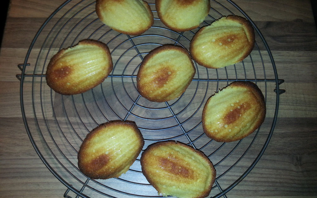 Veritable madeleine de Commercy