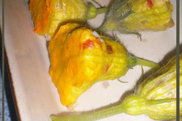 Fleurs de courgettes farcies aux céréales gourmandes