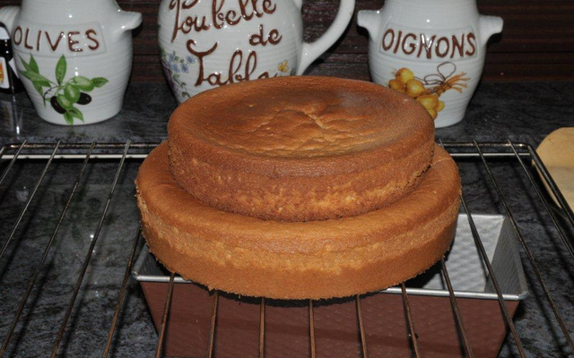 Biscuit pour réaliser un gâteau ou pièce montée
