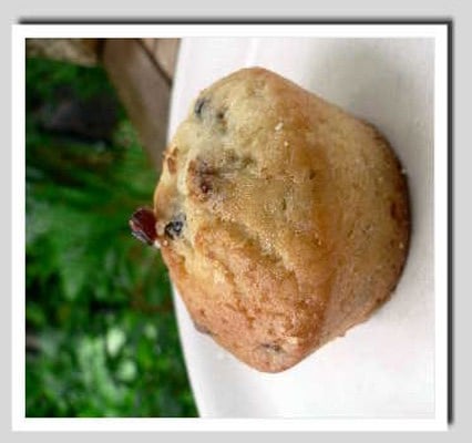 Muffins coco-cranberries