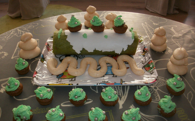 Bûche à la pistache et sa crème à la framboise