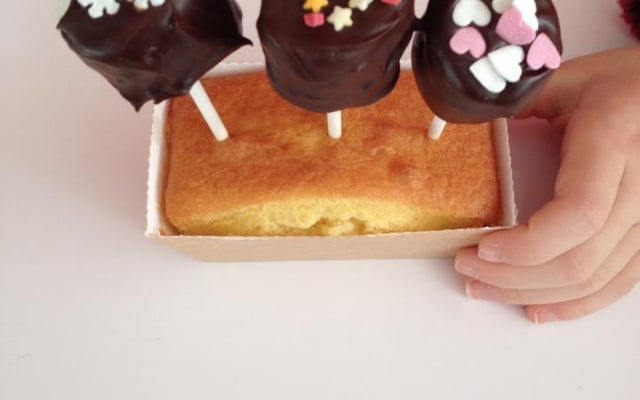 Petits cakes et leurs sucettes