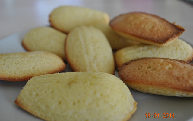 Madeleines légères au miel