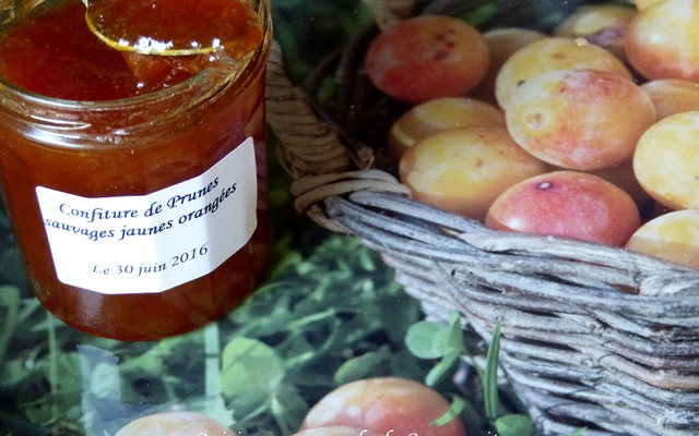 Confiture de prunes sauvages jaunes orangées