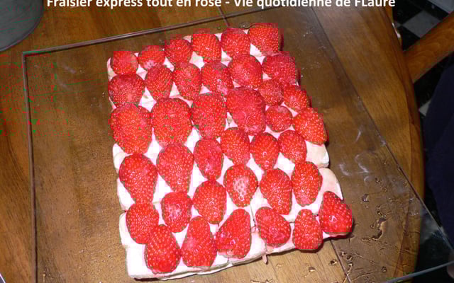 Fraisier express tout en rose