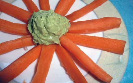 Crème d'avocats mexicaine