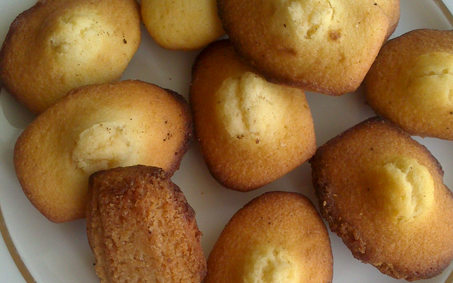 Madeleines en coque de craquelin