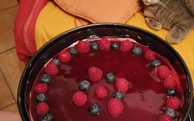 Bavarois framboise spéculoos