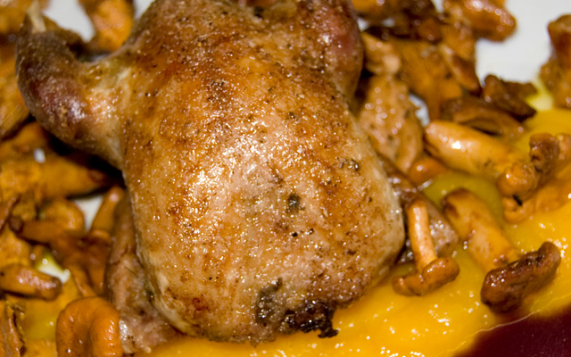 Pigeon ramier, compote de potiron à la vanille, chanterelles, sauce au marsala