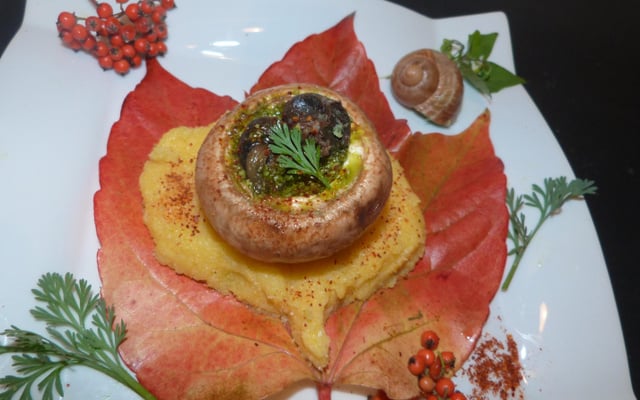 Escargots en coquilles de cèpes sur cœur de polenta à l'ail des ours