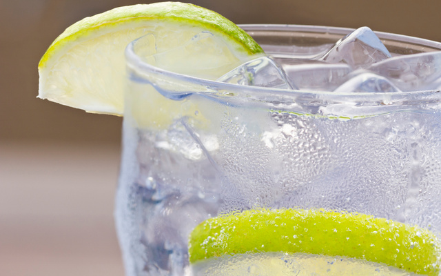 Véritable Gin Fizz