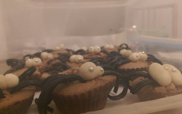 Muffins araignée
