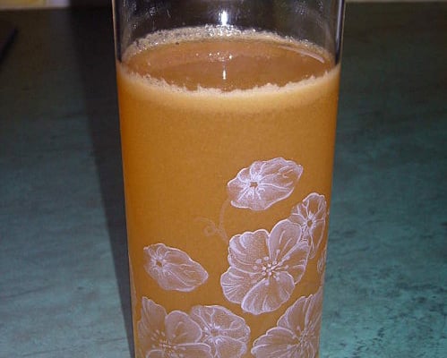 Jus de pommes à la centrifugeuse