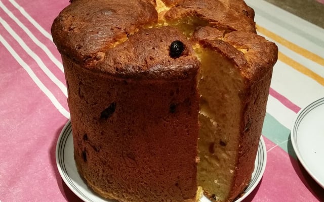 Panettone traditionnel