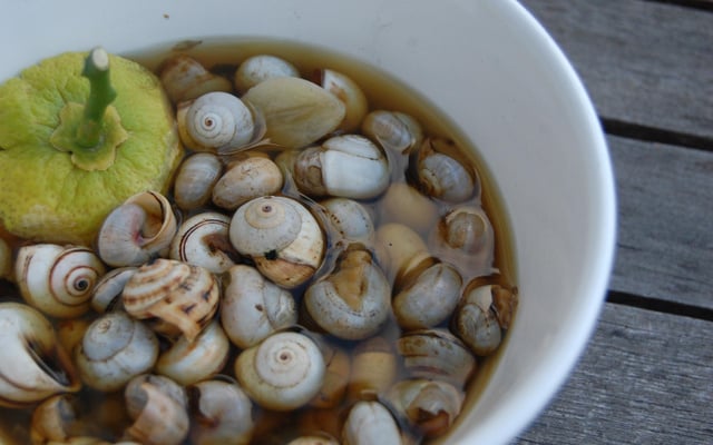 Une ration d'escargots