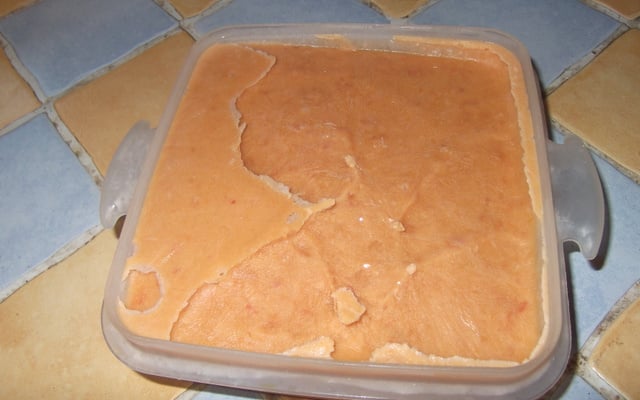 Sorbet allégé aux abricots