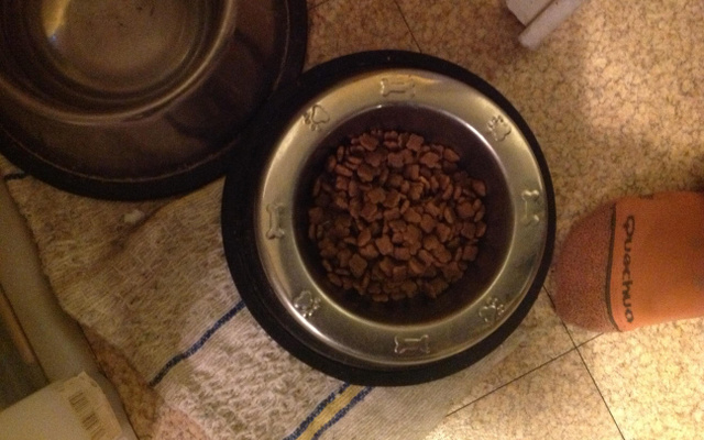 Etoile de raviole au foie gras et morilles sur velouté de petits pois frais