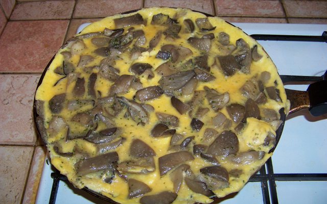 Omelette aux pleurotes