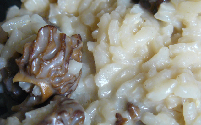 Risotto franc-comtois