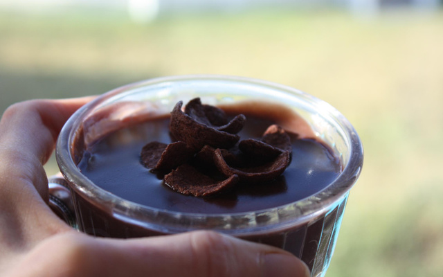 Crèmes aux chocapic (thermomix)