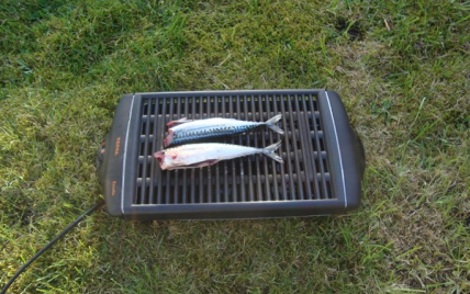 Maquereau au barbecue