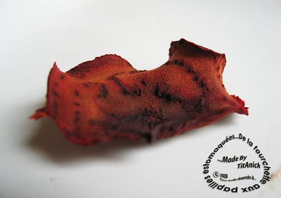 Croustilles de betteraves