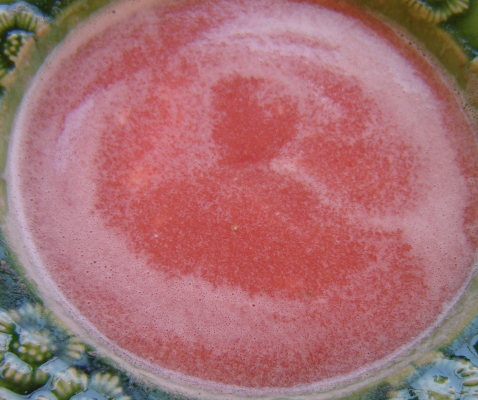Soupe froide de melon et pasteque