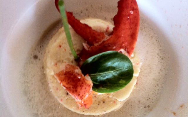 Petits flans au homard