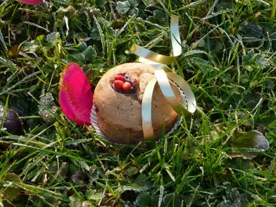 Muffins à la crème de marron