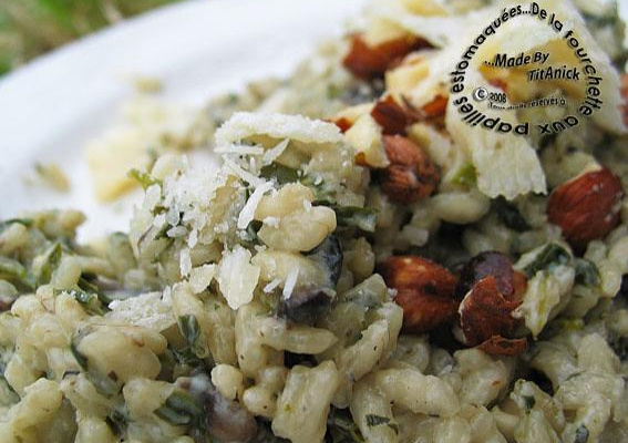 Risotto aillé aux champignons, chénopodes, noisettes et parmesan