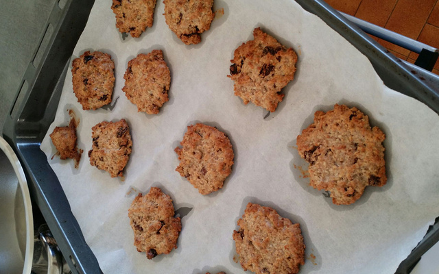 Palets aux flocons d'avoine, raisins secs et pépites de chocolat