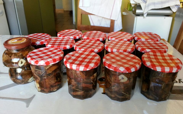 Conserve de sanguins à l'huile