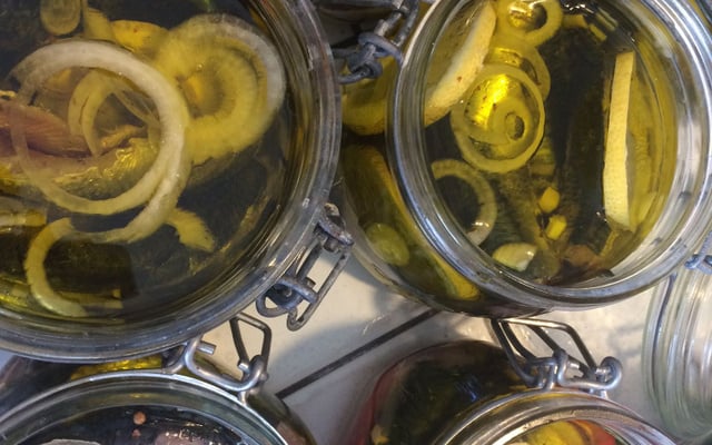 Sardines à l'huile