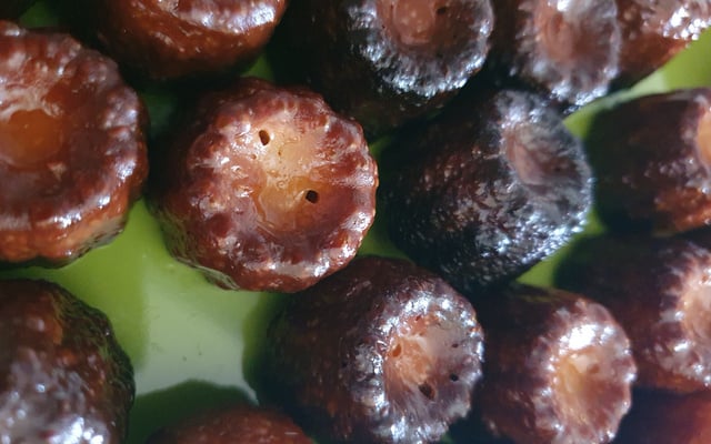 Cannelés bordelais rapides