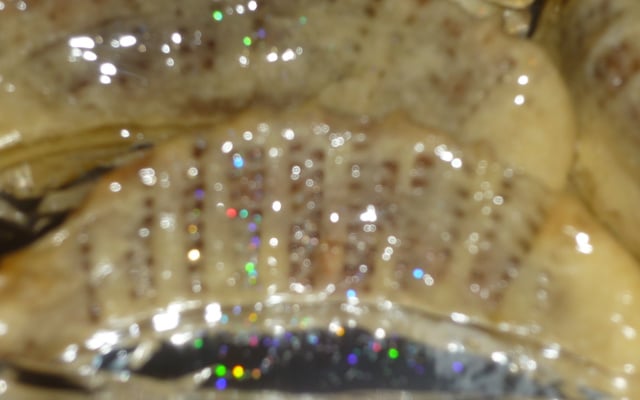 Cornes de gazelle sucrée