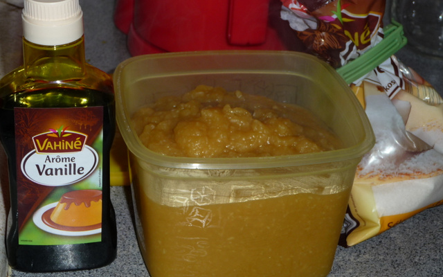 Compote de pommes maison à la noix de coco et arôme vanille