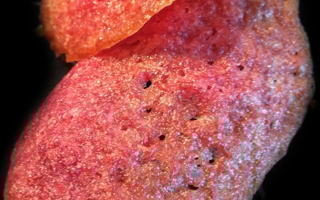 Pink Tuiles ... à la framboise !