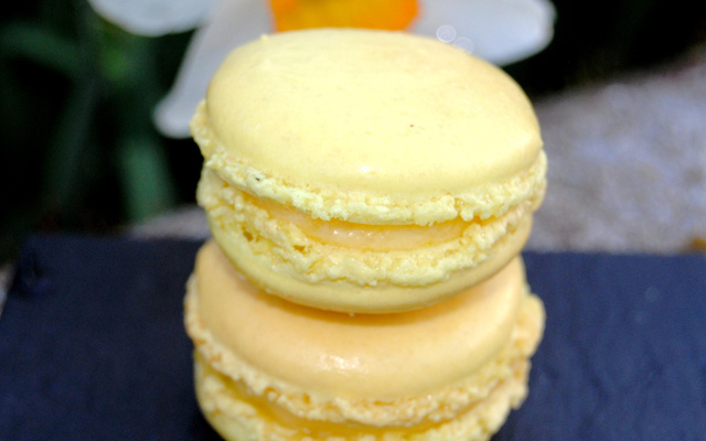 Macarons citrons